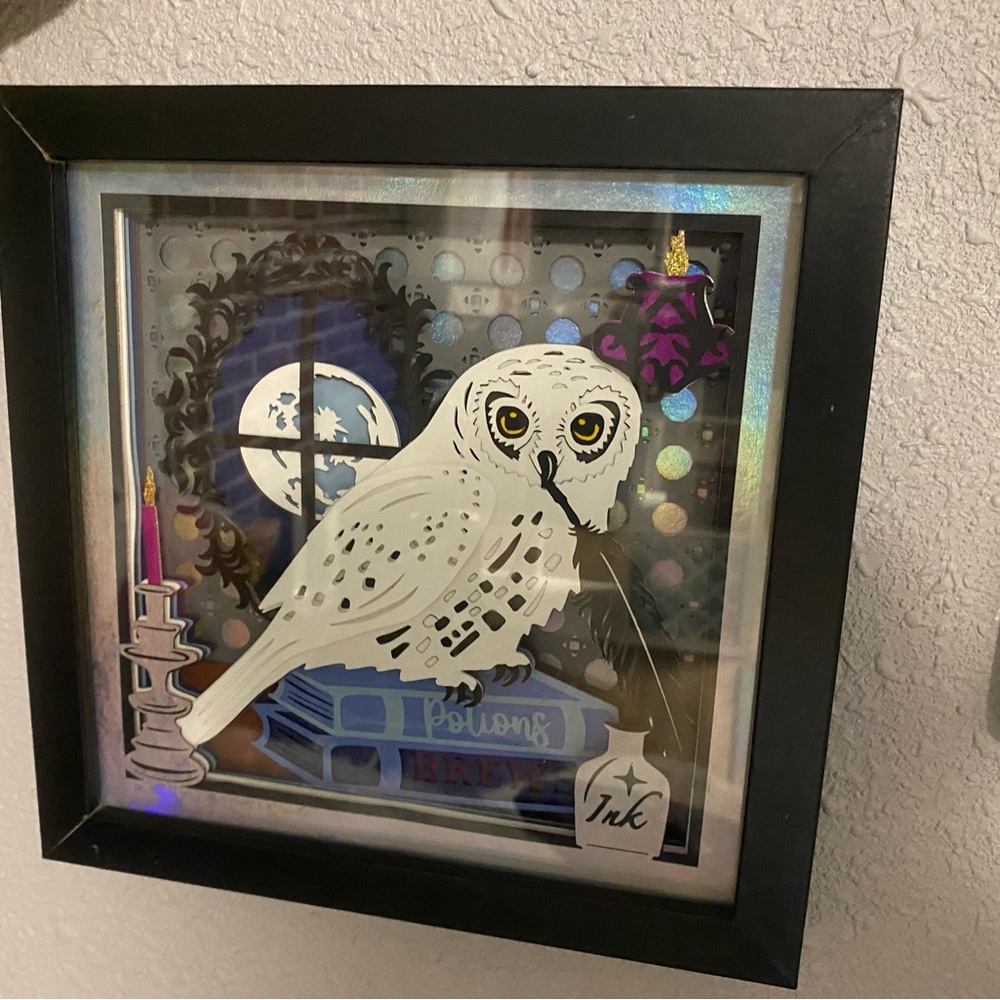 Framed Snowy Owl Wall Art - Harry Potter Hedwig